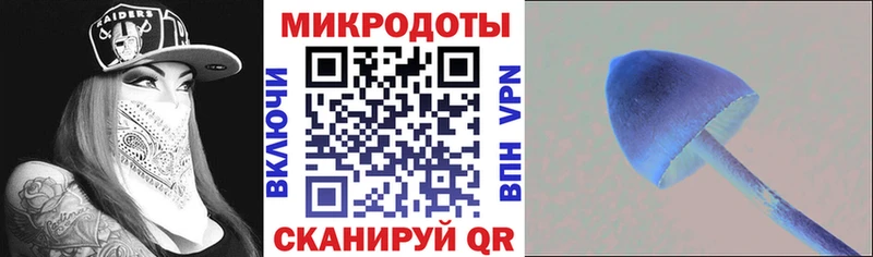что такое наркотик  Березники  Псилоцибиновые грибы прущие грибы 